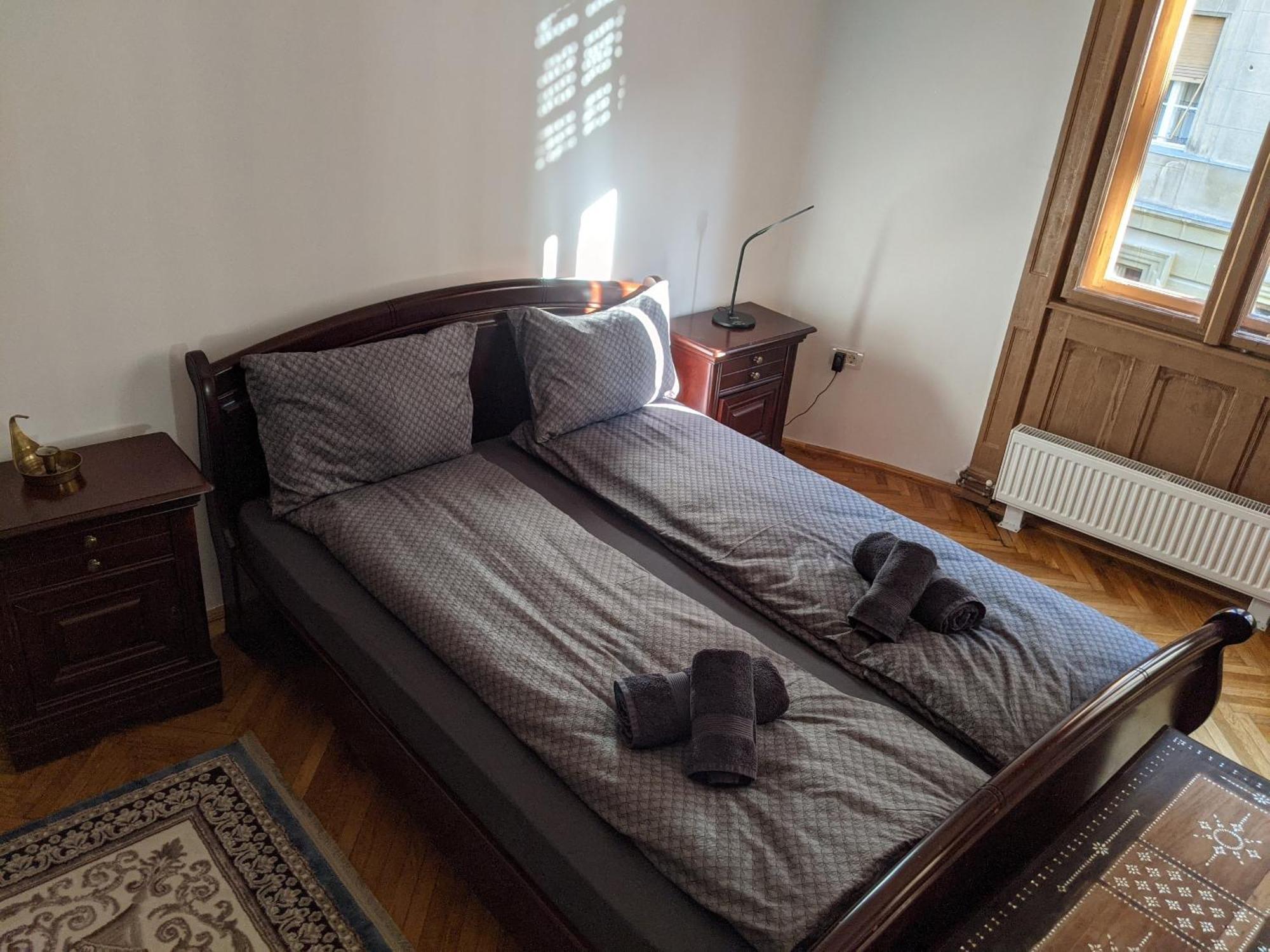 Ultra-Central Apartment In The Loffler Palace Тимишоара Екстериор снимка